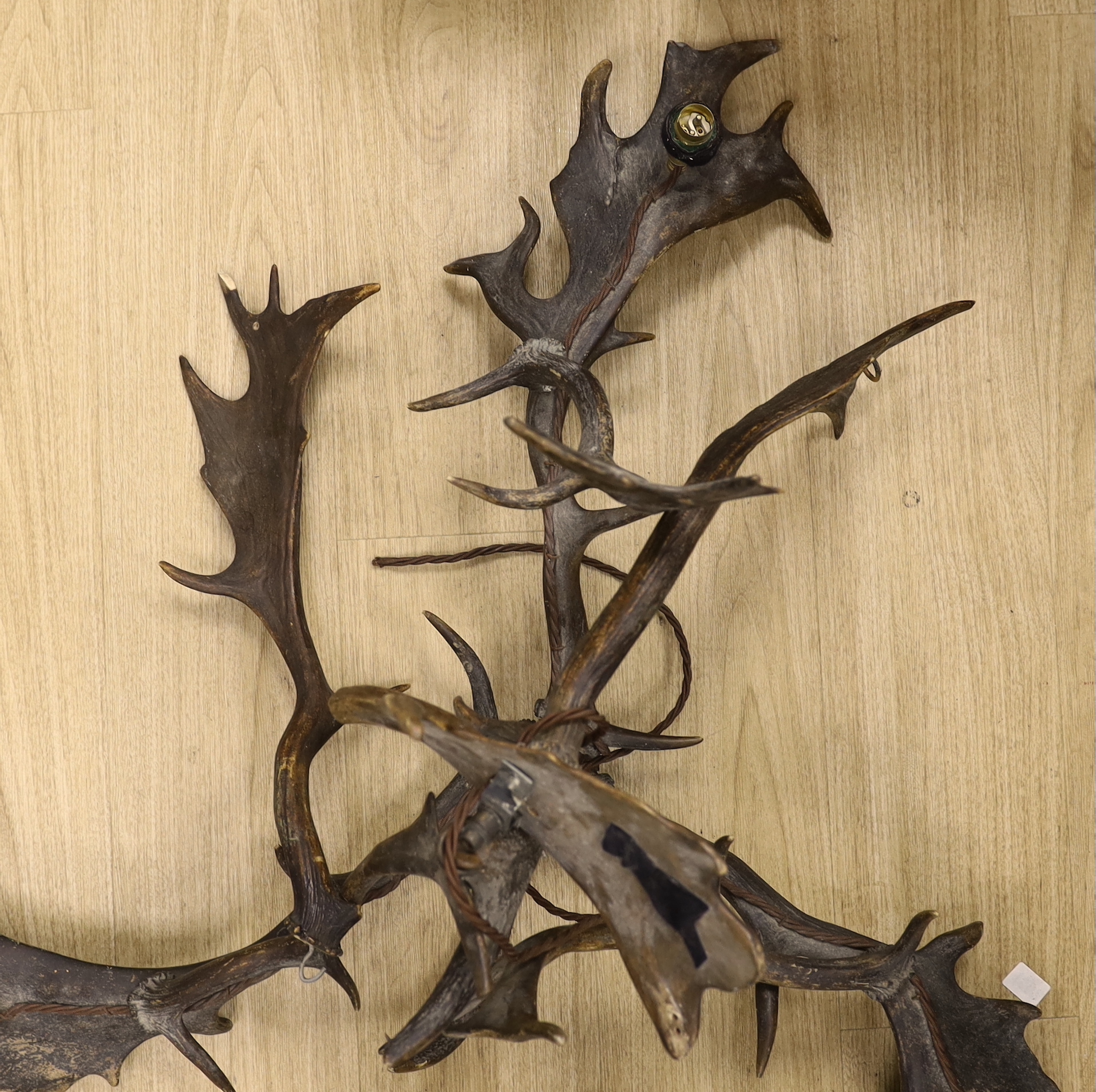 A stag antler chandelier